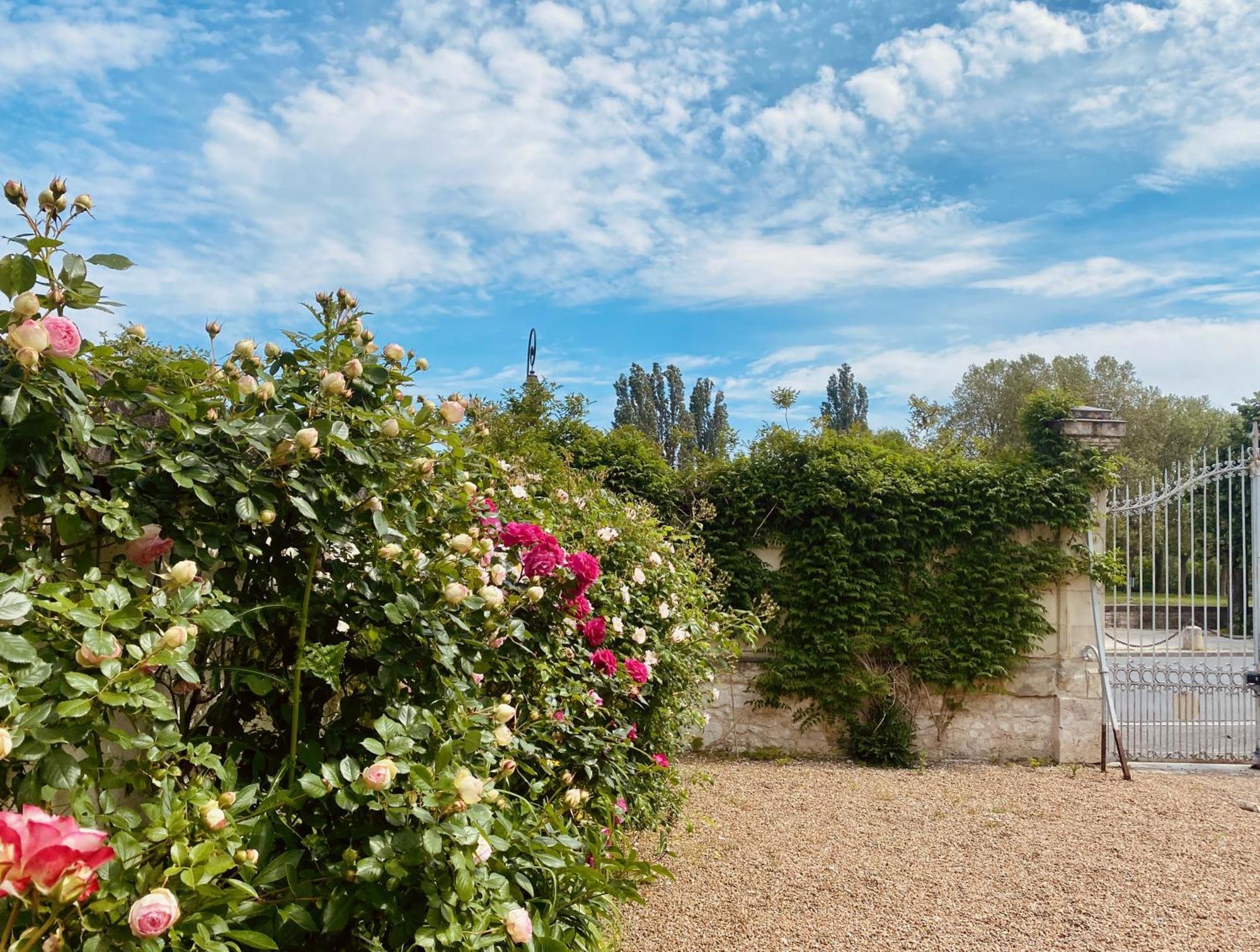 Maison Adrienne Saint-Aignan  Dış mekan fotoğraf